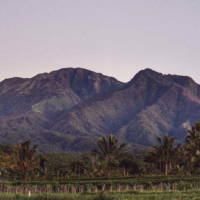 Tetebatu Mountain View Homestay 外观 照片