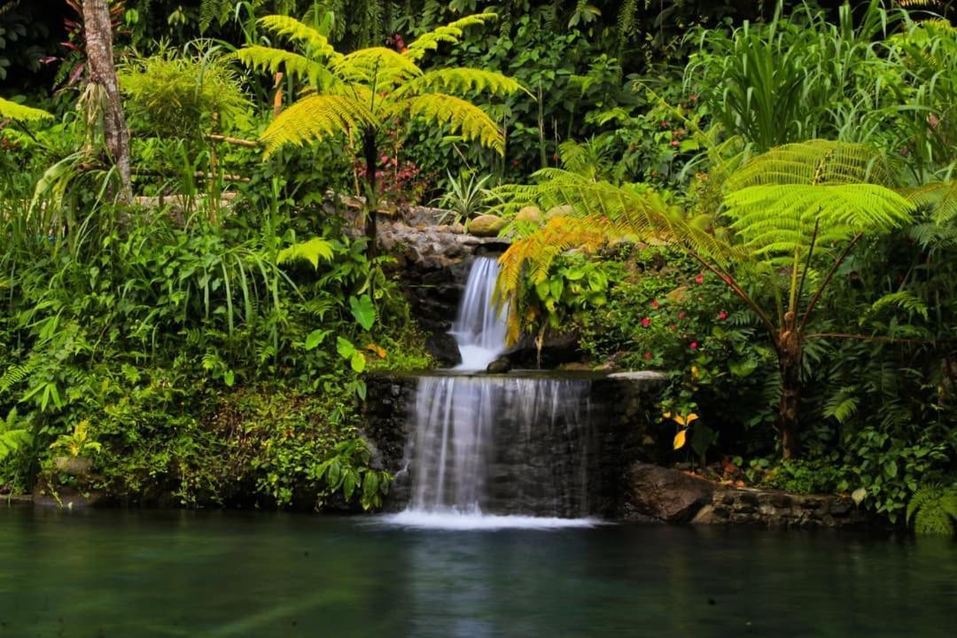 Tetebatu Mountain View Homestay 外观 照片