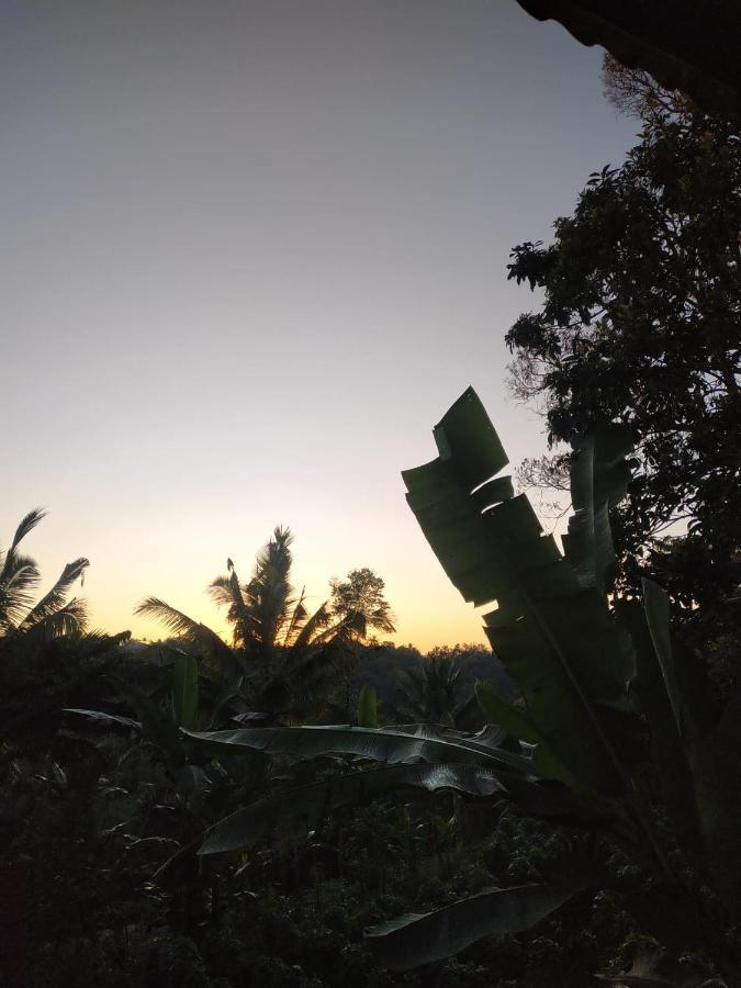 Tetebatu Mountain View Homestay 外观 照片
