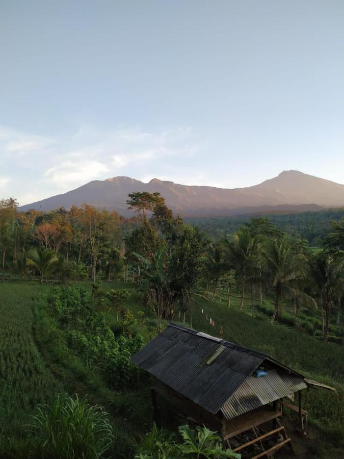 Tetebatu Mountain View Homestay 外观 照片