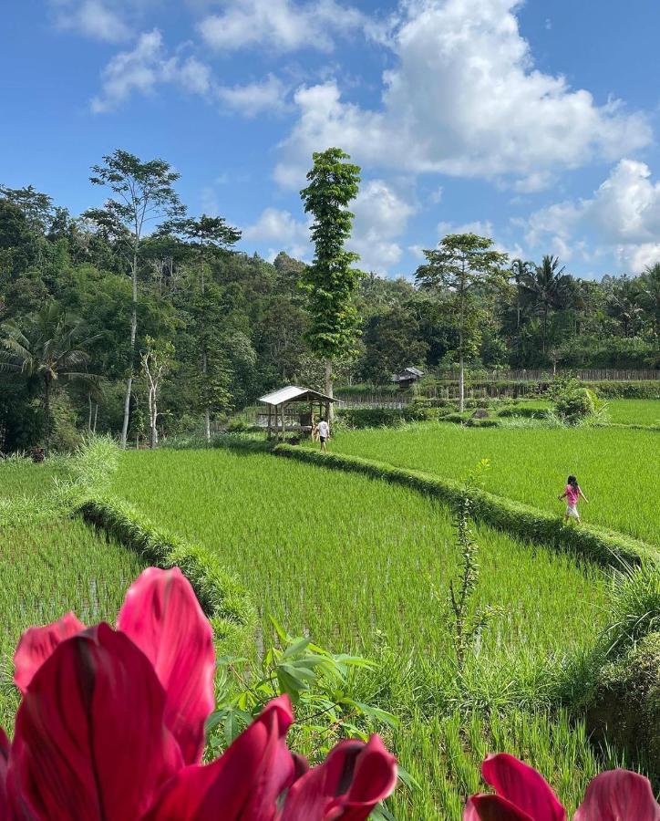 Tetebatu Mountain View Homestay 外观 照片