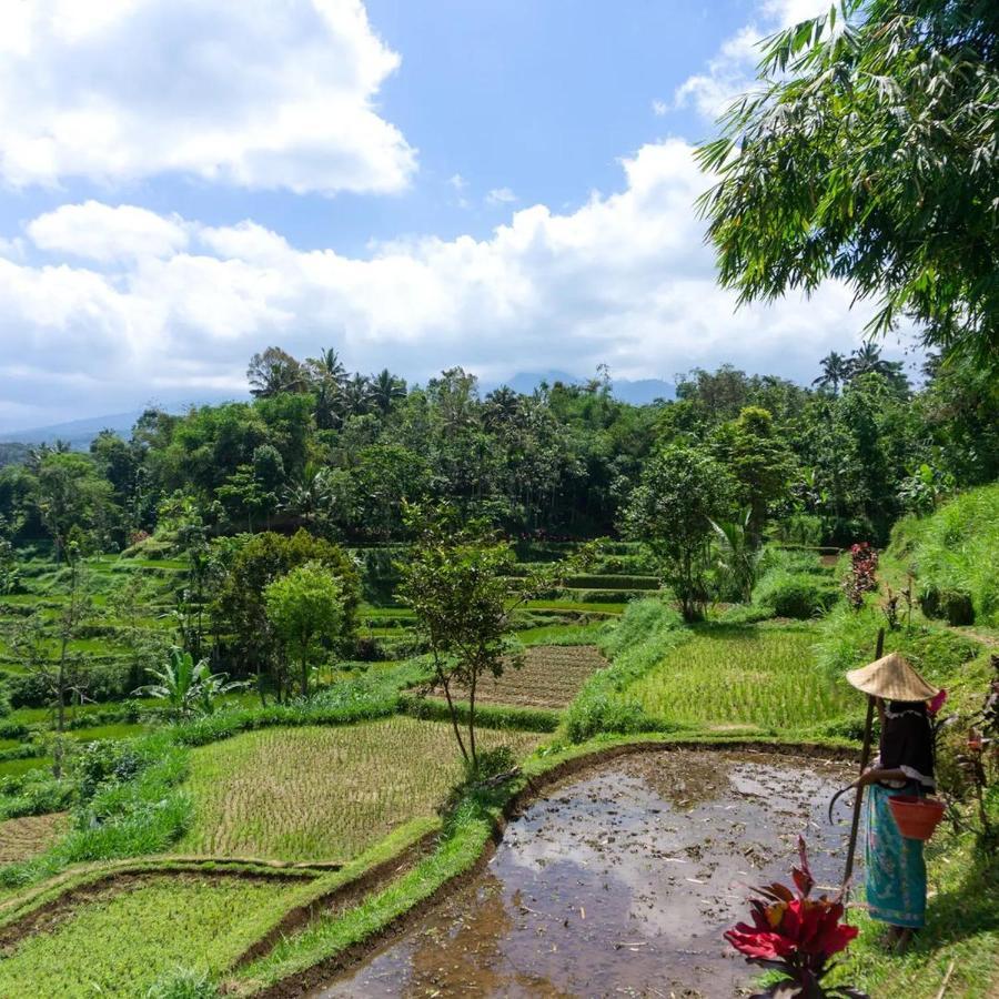 Tetebatu Mountain View Homestay 外观 照片