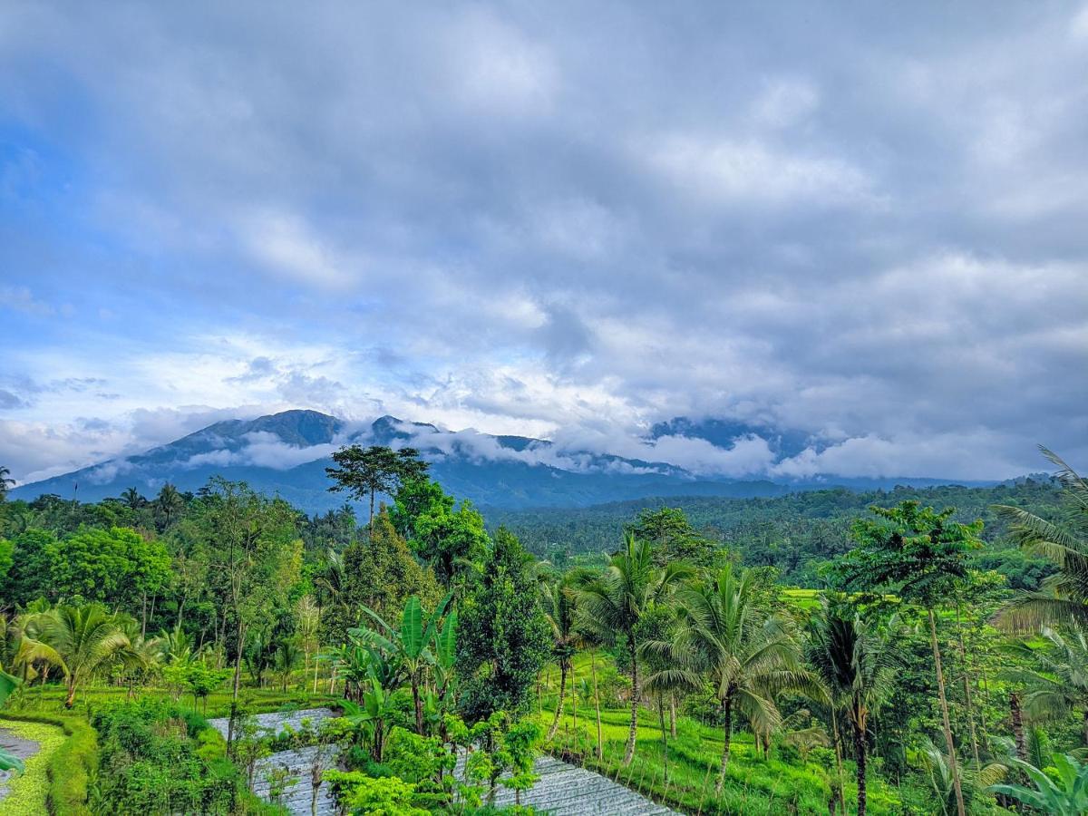 Tetebatu Mountain View Homestay 外观 照片