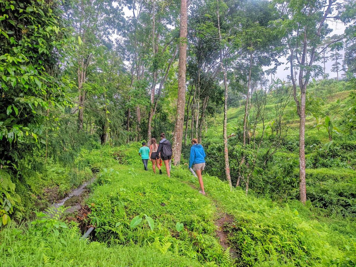 Tetebatu Mountain View Homestay 外观 照片