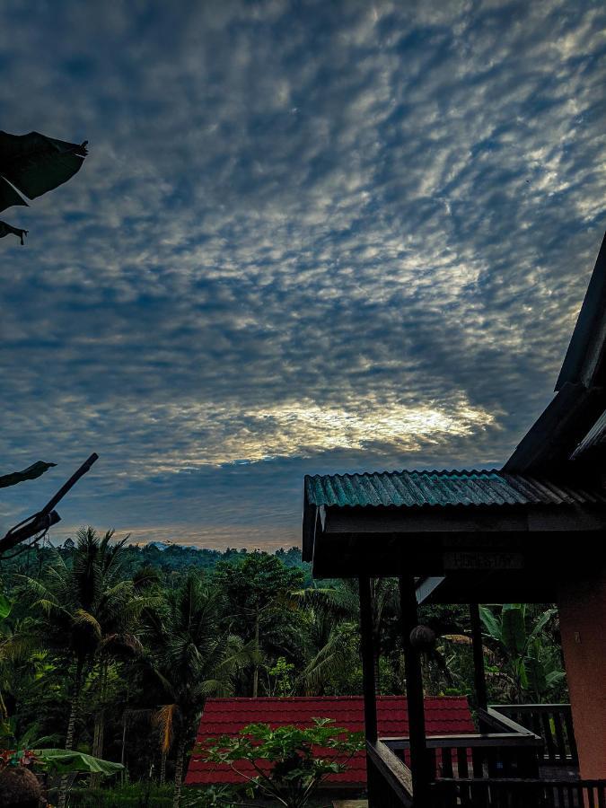 Tetebatu Mountain View Homestay 外观 照片