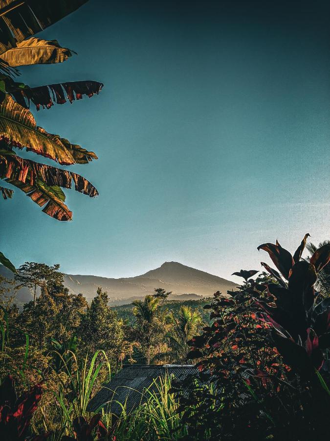 Tetebatu Mountain View Homestay 外观 照片