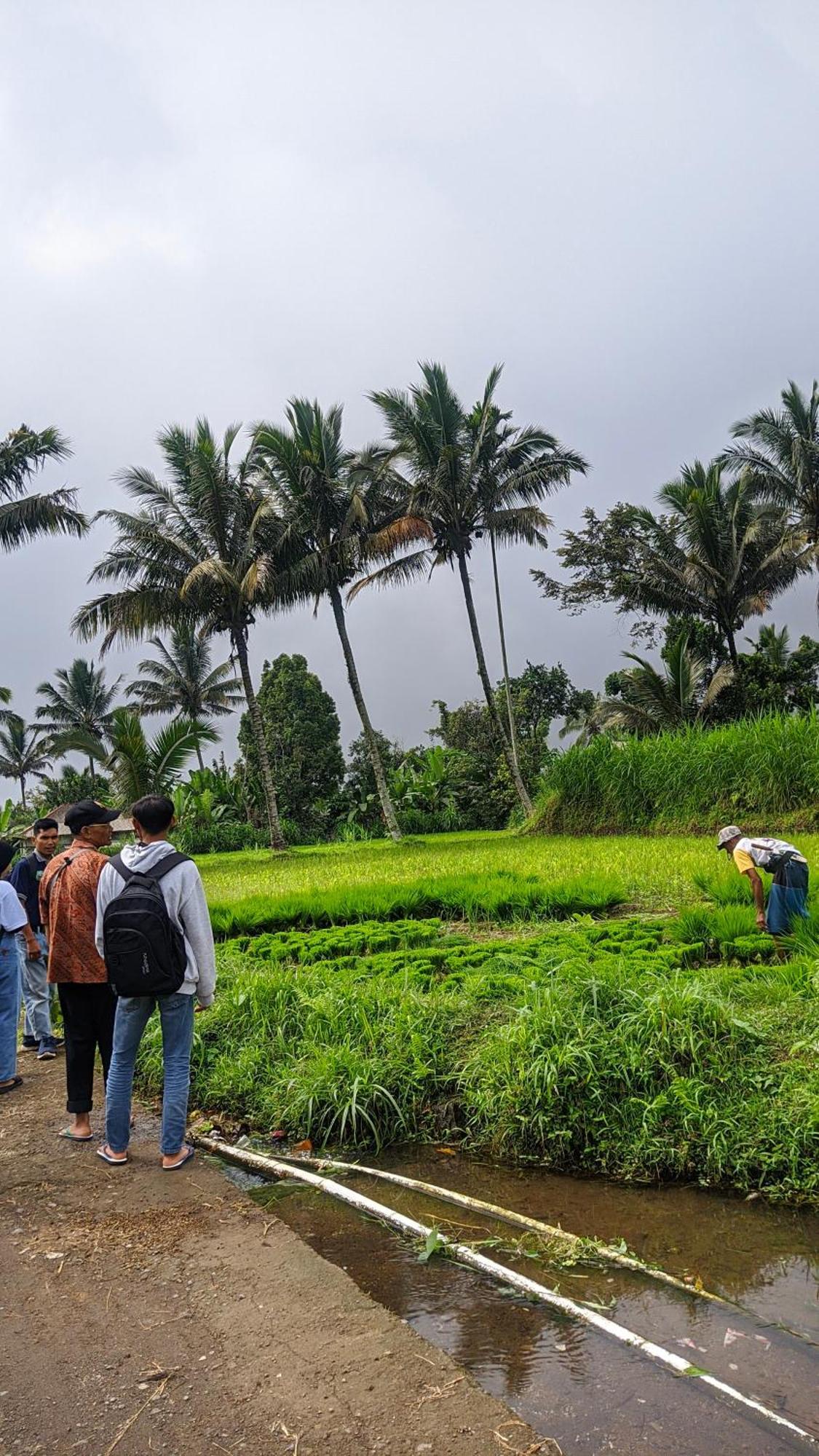 Tetebatu Mountain View Homestay 外观 照片