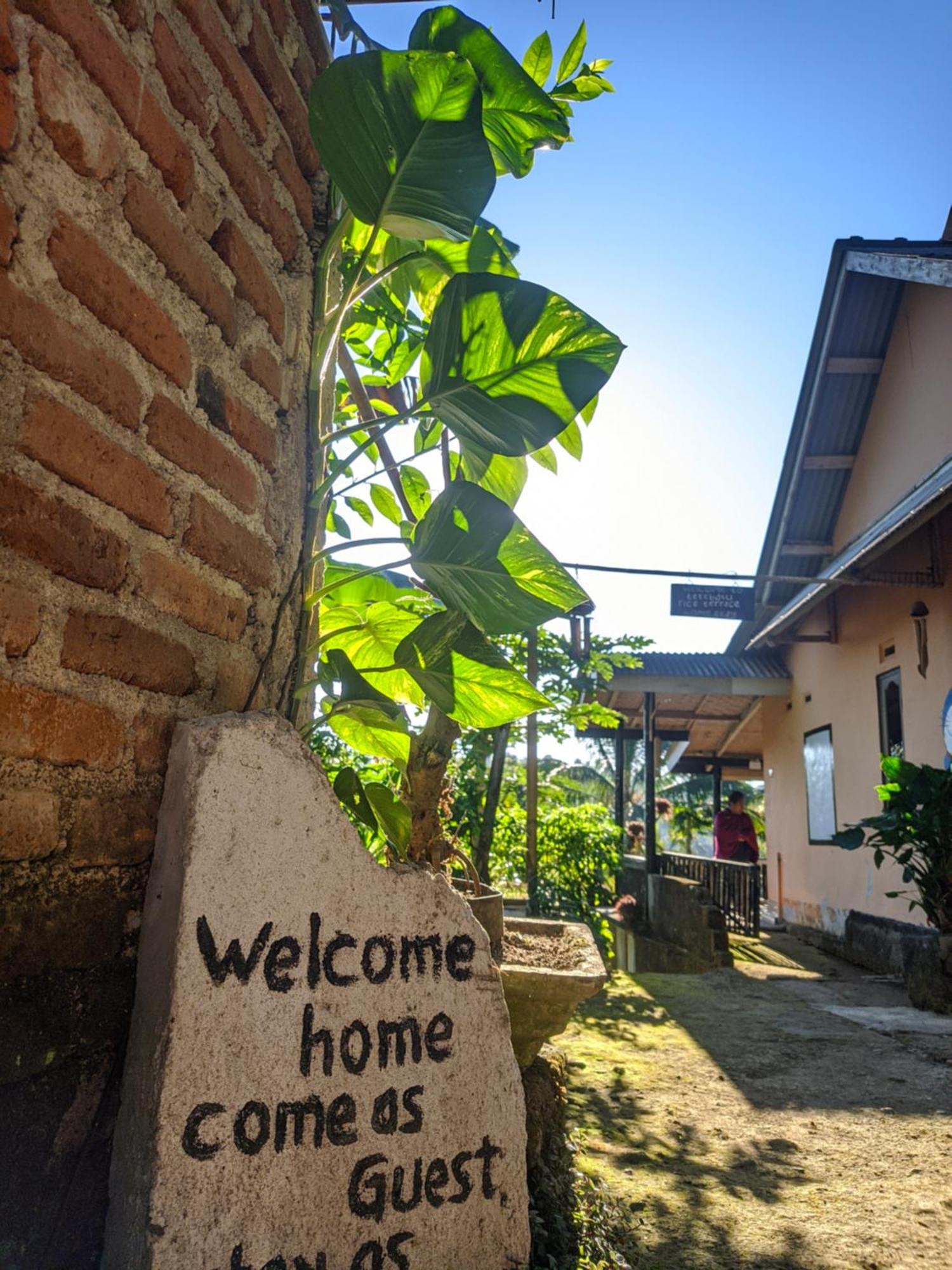 Tetebatu Mountain View Homestay 客房 照片